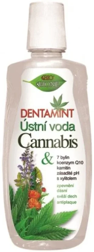 Bione DENTAMINT - Mundwasser CANNABIS, 500 ml