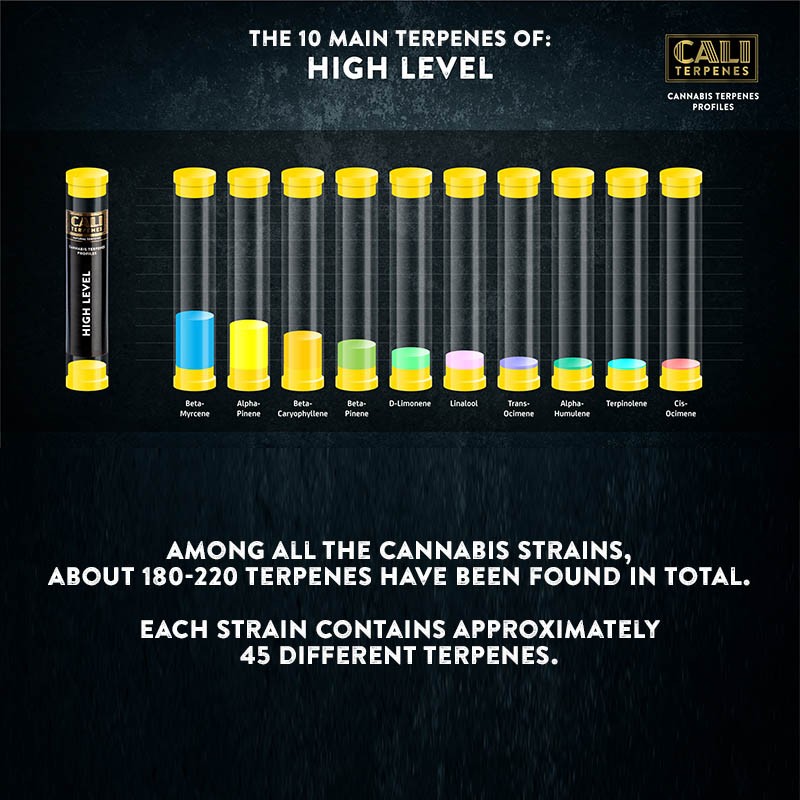 Cali Terpenes - HIGH LEVEL, 1 - 1000 ml