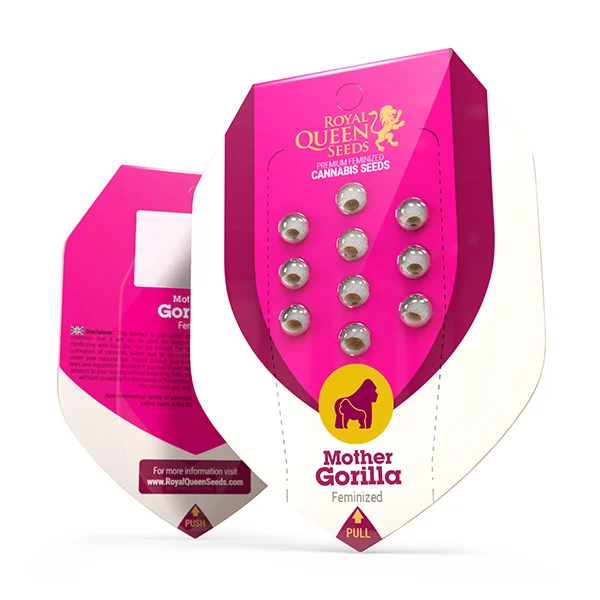 Royal Queen Seeds Semințe de canabis Mother Gorilla (fostă Royal Madre) feminizate