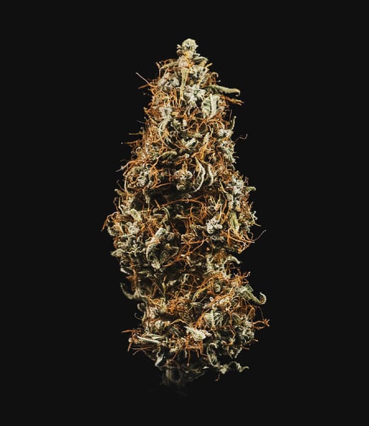 Royal Queen Seeds Seminte de canabis Hulkberry Auto