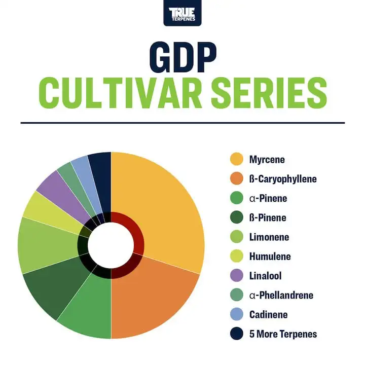True Terpenes Cultivar Series GDP (5 ml - 960 ml)