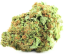 CanaPuff CBD Hanfblüte Lemon Skunk, CBD 14 %, 1 g – 10 g