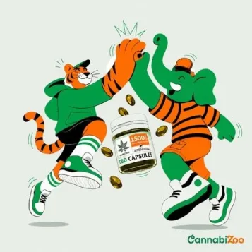 CBD kapsulės ir CBD aliejus: Palyginimas.