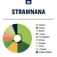 True Terpenes Strawnana Infused Flavor (5 ml - 960 ml)