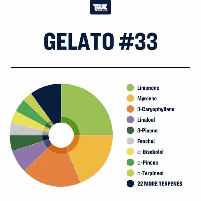 True Terpenes Gelato με έγχυση γεύσης #33 (5 ml - 960 ml)