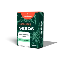 Canntropy Seeds Auto Northern Lights (Auto-înflorire)
