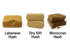 CBD-Haschisch-Probierset - Marokkanisches Haschisch, Libanesisches Haschisch, trocken gesiebtes Haschisch, 3 x 1 g