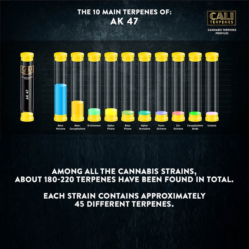 Cali Terpenes - AK 47, 1 - 1000 ml