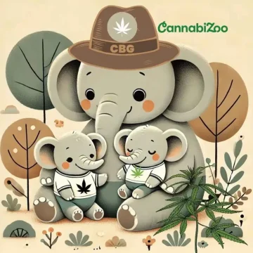 Mère éléphant illustrée avec une bosse sur laquelle on peut lire « CBG », et deux bébés éléphants, avec le logo CannabiZoo.