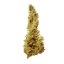 Royal Queen Seeds Seminte de canabis HulkBerry feminizate
