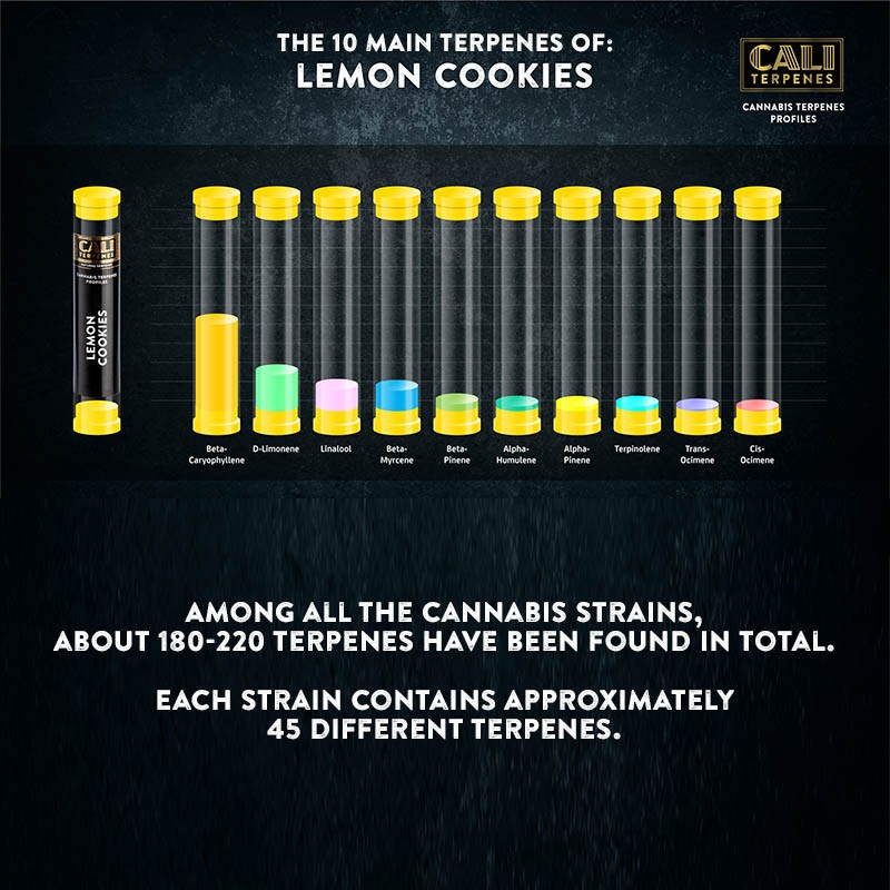 Cali Terpenes - SIDRUNI KÜPSISED, 1 - 1000 ml