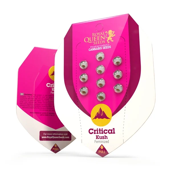 Royal Queen Seeds Semințe de canabis Critical Kush feminizate