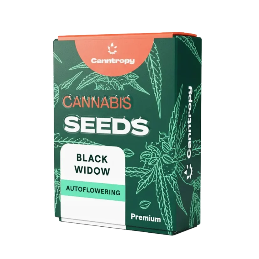Canntropy Seeds Black Widow (θηλυκοί)