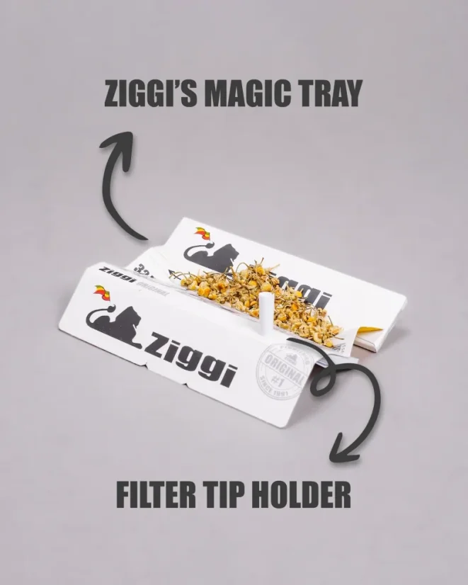 Ziggi Original, 32 feuilles à rouler + 32 filtres en carton
