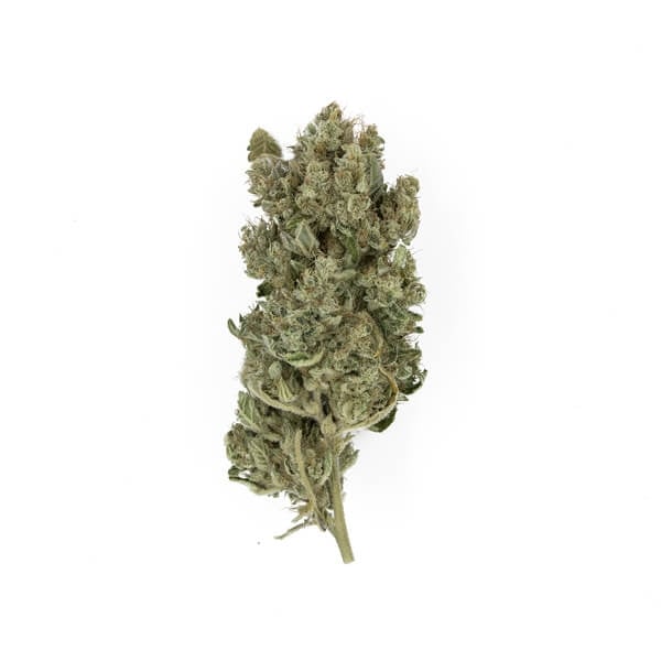 Royal Queen Seeds Seminte de canabis Royal Gorilla feminizate