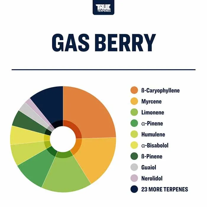 True Terpenes Levende Alchemy Gas Berry (5 ml - 960 ml)