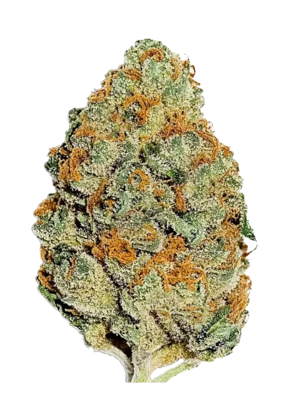 Fast Buds Semințe de canabis Lemon Mandarin Feminizate
