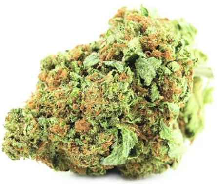 CanaPuff CBD Hanfblüte Lemon Skunk, CBD 14 %, 1 g – 10 g