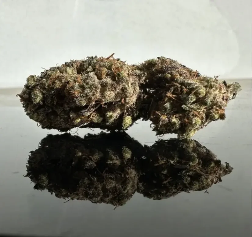 Czech CBD Tort de nuntă cu flori de canabis THCD, 1 g - 1000 g