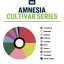True Terpenes Serie di cultivar Amnesia (5 ml - 960 ml)