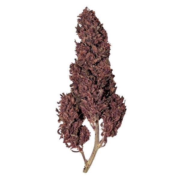 Royal Queen Seeds Cannabis Seeds Purplematic Auto (korkea CBD)
