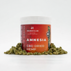 Herbican CBD hamppukukka Amnesia, 5 g - 100 g
