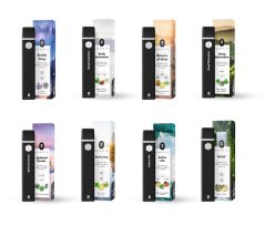 Hemnia Funktionelles Einweg-Vape-Pack, All-in-One-Set - 8 Geschmacksrichtungen x 1 ml