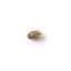 The Bulldog Seeds TB Lemon Haze Automático, 3 e 5 peças