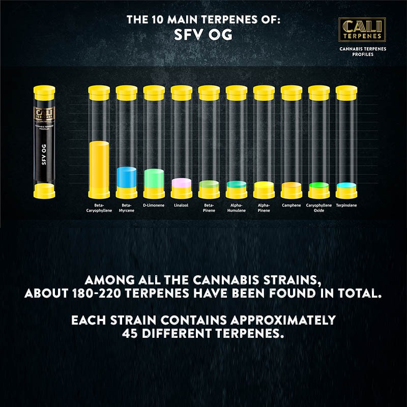 Cali Terpenes - SFV OG, 1 - 1000 ml