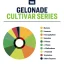 True Terpenes Cultivar Series Gelonade (5 ml - 960 ml)