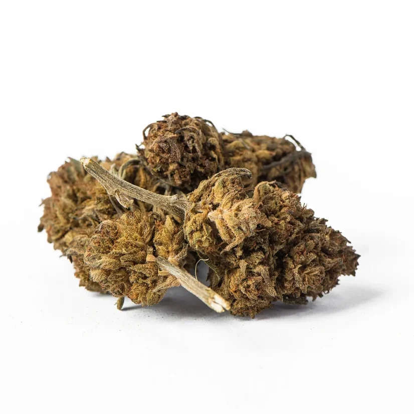 Euphoria CBD Weed Avicenna, 100 g