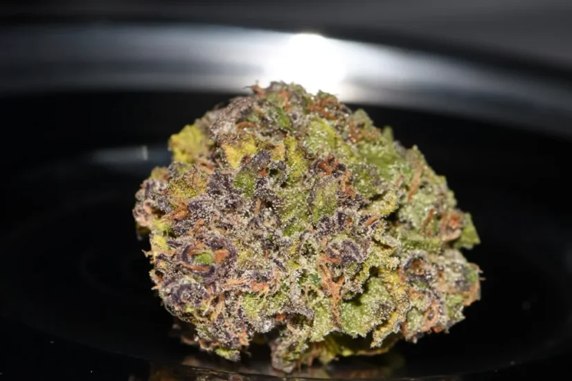 Fast Buds Автозаправка з насінням канабісу
