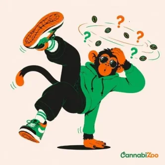 Cannabiszaden: Soorten en verschillen.