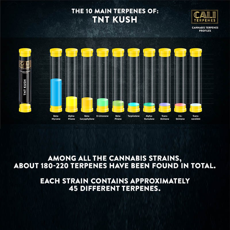 Cali Terpenes - TNT KUSH, 1 - 1000 ml