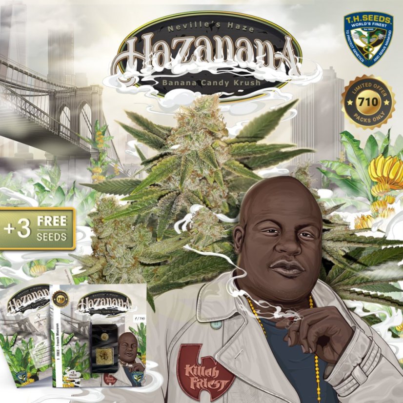 T.H.Seeds™ Semințe de canabis Hazanana, pachet special limitat 710, feminizate