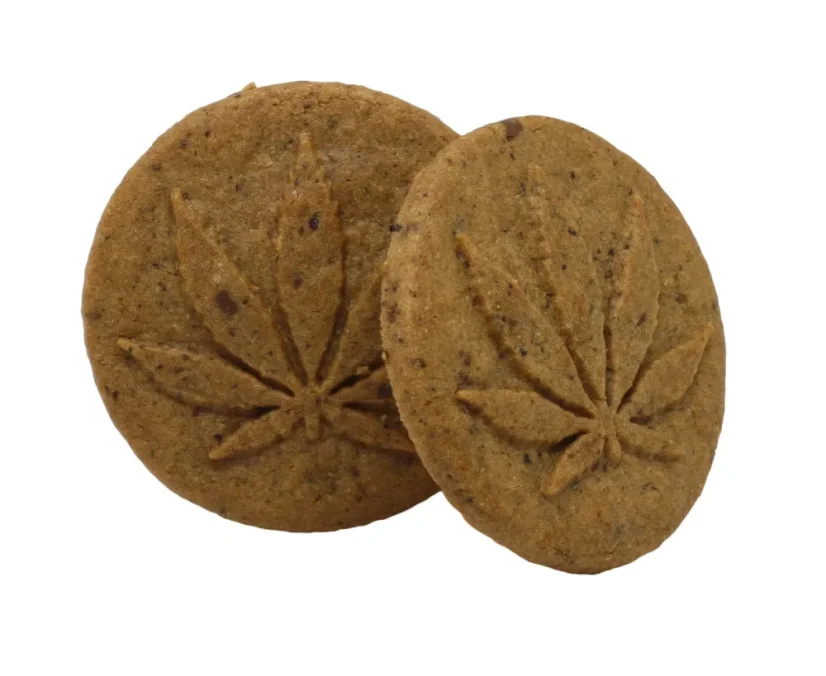 Euphoria Biscuits au chocolat et au CBD, 12 pièces, 120 mg de CBD