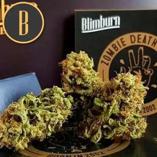 Blimburn Seeds Hanfsamen Zombie Death Fuck Feminisiert