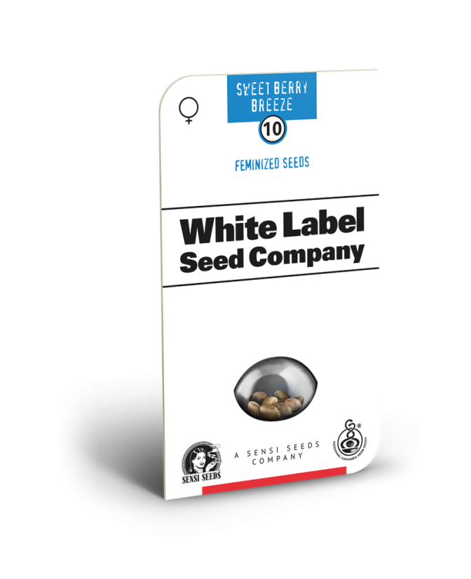 Sensi Seeds Semințe de canabis Sweet Berry Breeze feminizate de White Label, 3-10 buc.