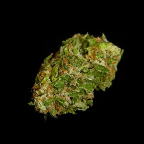 Royal Queen Seeds Семена от канабис Apollo F1 Auto