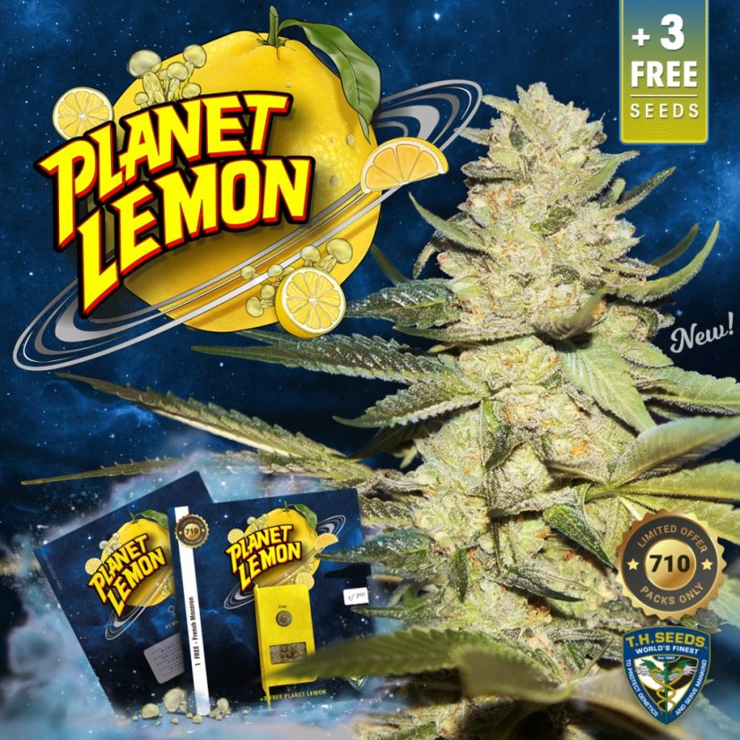 T.H.Seeds™ Semințe de canabis Planet Lemon, pachet special limitat 710, feminizate
