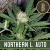 Blimburn Seeds Semillas de cannabis Northern Lights Auto