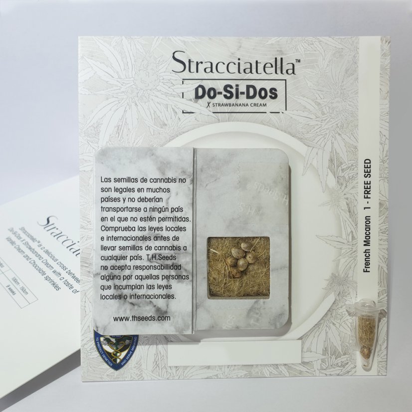 T.H.Seeds™ Cannabis Seeds Stracciatella™, 6+1 specialpakke, feminiseret