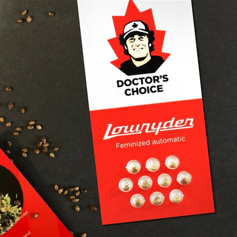 Doctor´s Choice Seeds Lowryder feminizate (IBL) Auto Feminizate