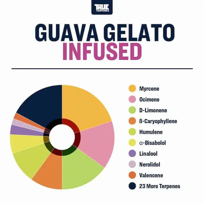 True Terpenes Smakinfunderad Guava Gelato (5 ml - 960 ml)