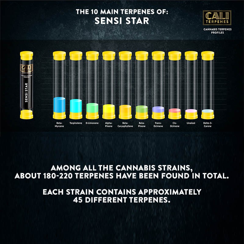 Cali Terpenes - Sensi Star, 1 - 1000 ml