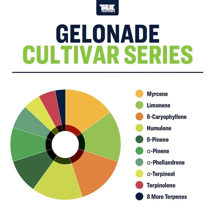 True Terpenes Cultivar Series Gelonade (5 ml - 960 ml)