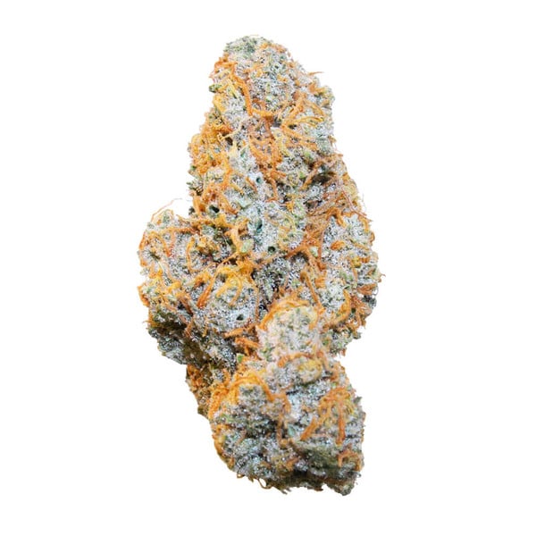 Royal Queen Seeds Seminte de canabis Apple Fritter Auto