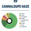 True Terpenes Cannaloupe Haze infusé d'arômes (5 ml - 960 ml)