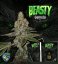 T.H.Seeds™ Seminte de canabis Beasty, pachet special 6+1, feminizate