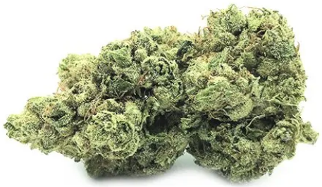CanaPuff Fiore di canapa CBD Fire Kush, CBD 13%, 1 g - 10 g
